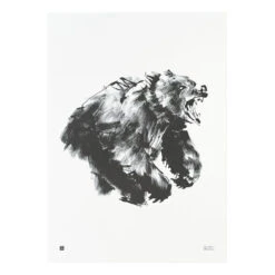 Poster Bear, 50 X 70 Cm