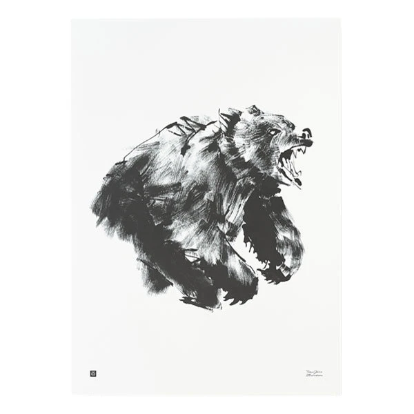 Poster Bear, 50 X 70 Cm 1 Poster Bear, 50 X 70 Cm