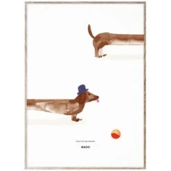 Poster Doug The Dachshund, 50 X 70 Cm