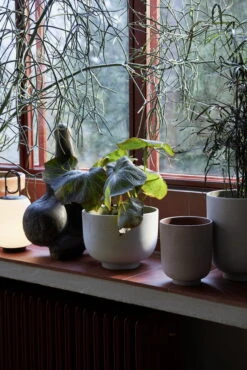 &Tradition Collect SC70 Pflanzgefäß, 15 X 18 Cm, Ocker -Günstig Heimdekoration ATD Retail 2021 Collect Planter SC70 72 Lucca SC51