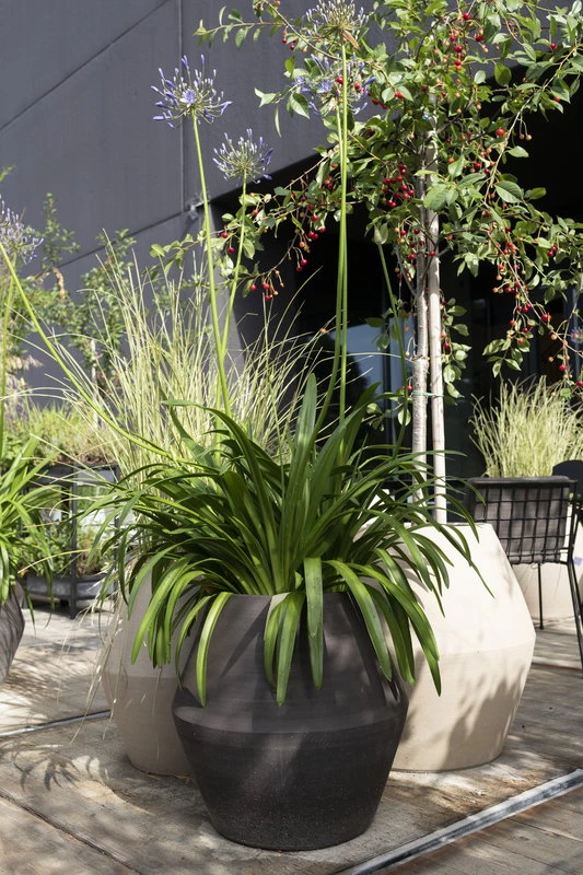 Serax Construct Topf S, Beige 6 Serax Construct Topf S, Beige – Bild 6