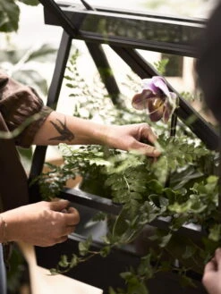 Design House Stockholm Greenhouse, Esche -Günstig Heimdekoration DHS image7 2642 Greenhouse Lifestyle