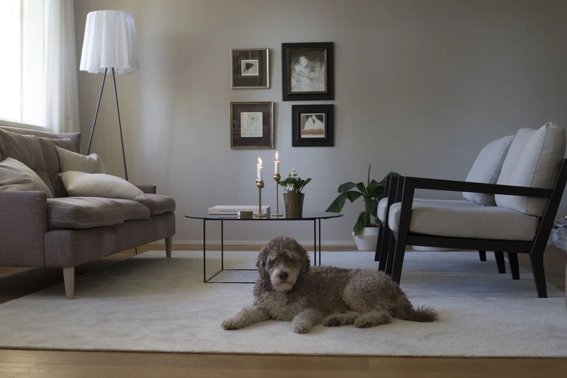 Hattara Teppich, Weiß 5 Hattara Teppich, Weiß – Bild 5