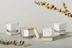 Veggie Wachskerze, Biofilia -Günstig Heimdekoration Hetkinen Mood Veggie candle square horizontal web 1296x