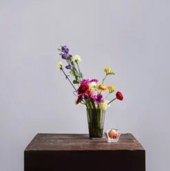 Iittala Schale Aalto 75 Mm, Klar 8 Iittala Schale Aalto 75 Mm, Klar -Günstig Heimdekoration Iittala 2018 Aalto mossgreen clear