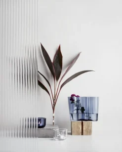 Iittala Votiv Valkea, Klar -Günstig Heimdekoration Iittala 2018 Valkea Aalto