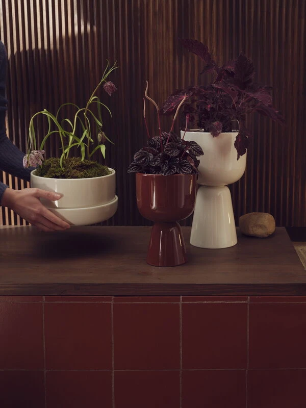 Iittala Nappula Blumentopf Mit Untersetzer, 240 X 130 Mm, Beige 3 Iittala Nappula Blumentopf Mit Untersetzer, 240 X 130 Mm, Beige – Bild 3