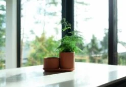 Klorofyll Topfset, Terrakotta 9 Klorofyll Topfset, Terrakotta -Günstig Heimdekoration KLset1 1800 1