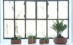 Klorofyll Topfset, Terrakotta 7 Klorofyll Topfset, Terrakotta -Günstig Heimdekoration KlorofyllterracottabyAnderssenVoll