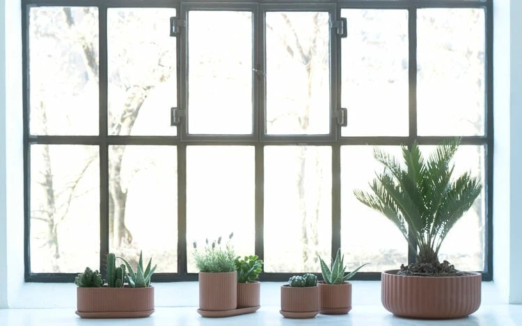 Klorofyll Topfset, Terrakotta 3 Klorofyll Topfset, Terrakotta – Bild 3