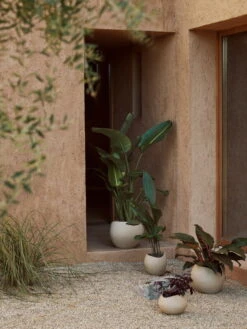 Menu Plantas Blumentopf, 32 cm, Elfenbeinfarben -Günstig Heimdekoration MENU LS Plantas Planters