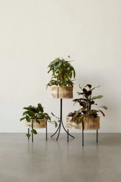 Menu Umanoff Pflanzgefäß, 69 Cm, Schwarz – Rattan -Günstig Heimdekoration MENU Planters