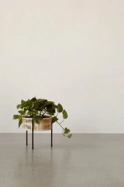 Menu Umanoff Pflanzgefäß, 27 Cm, Schwarz – Rattan 8 Menu Umanoff Pflanzgefäß, 27 Cm, Schwarz – Rattan -Günstig Heimdekoration MENU Planters 5