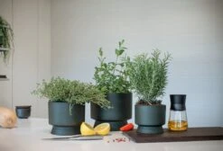 Rosendahl Blumentopf, 15 cm, Grün -Günstig Heimdekoration ROS 20620 20622 RO Flowerpots in kitchen setting 02 300dpi