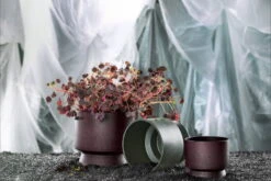 Rosendahl Blumentopf, 15 cm, Grün -Günstig Heimdekoration ROS 20640 20621 20622 Flowerpots three with plant 01