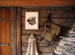 Poster Bear, 50 X 70 Cm 9 Poster Bear, 50 X 70 Cm -Günstig Heimdekoration Teemu Jarvi Illustrations BrownBear ArtPrintPaper