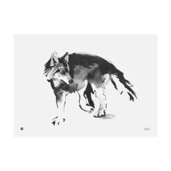 Poster Wolf, 70 X 50 Cm
