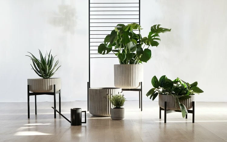 Klorofyll Pflanzgefäß Mit Spalier, Mittel Und Hoch, Grau 5 Klorofyll Pflanzgefäß Mit Spalier, Mittel Und Hoch, Grau – Bild 5