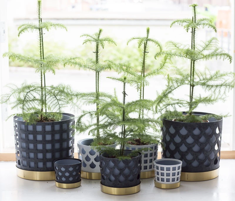 Klong Blumentopf Trio, Weiß, Quadrat 5 Klong Blumentopf Trio, Weiß, Quadrat – Bild 5